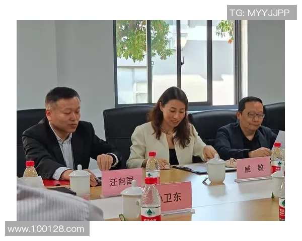 南京羽毛球队近期状态深度对比分析及未来发展趋势探讨